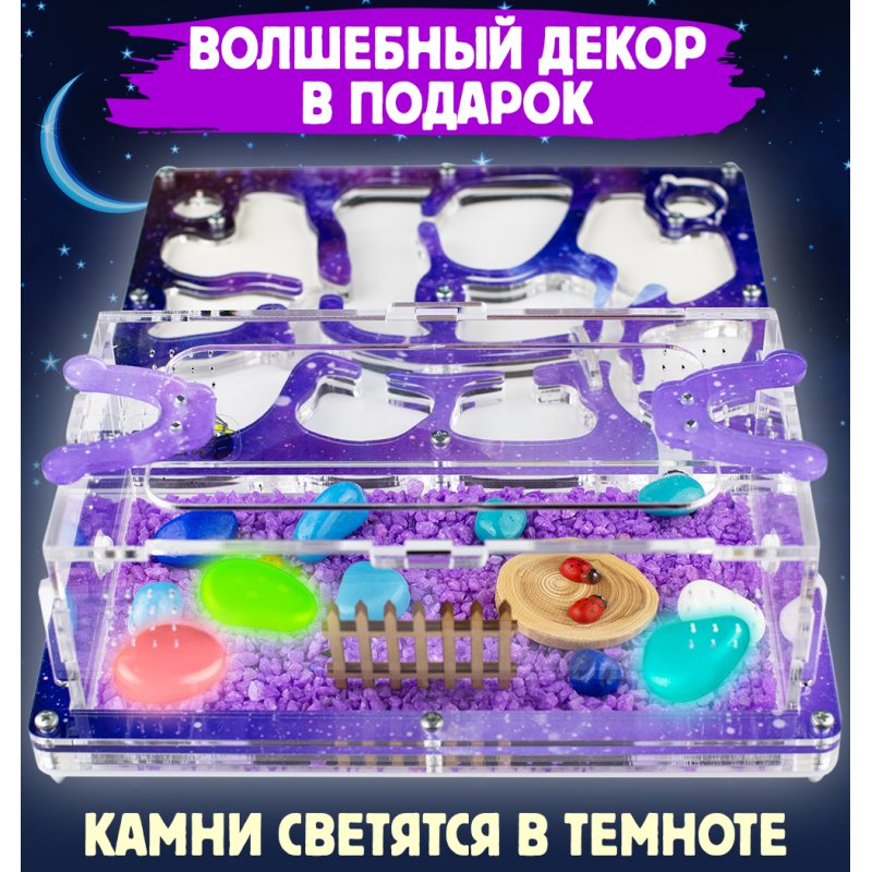 Формикарий Медиум “Космос” Формикарий Медиум “Космос”