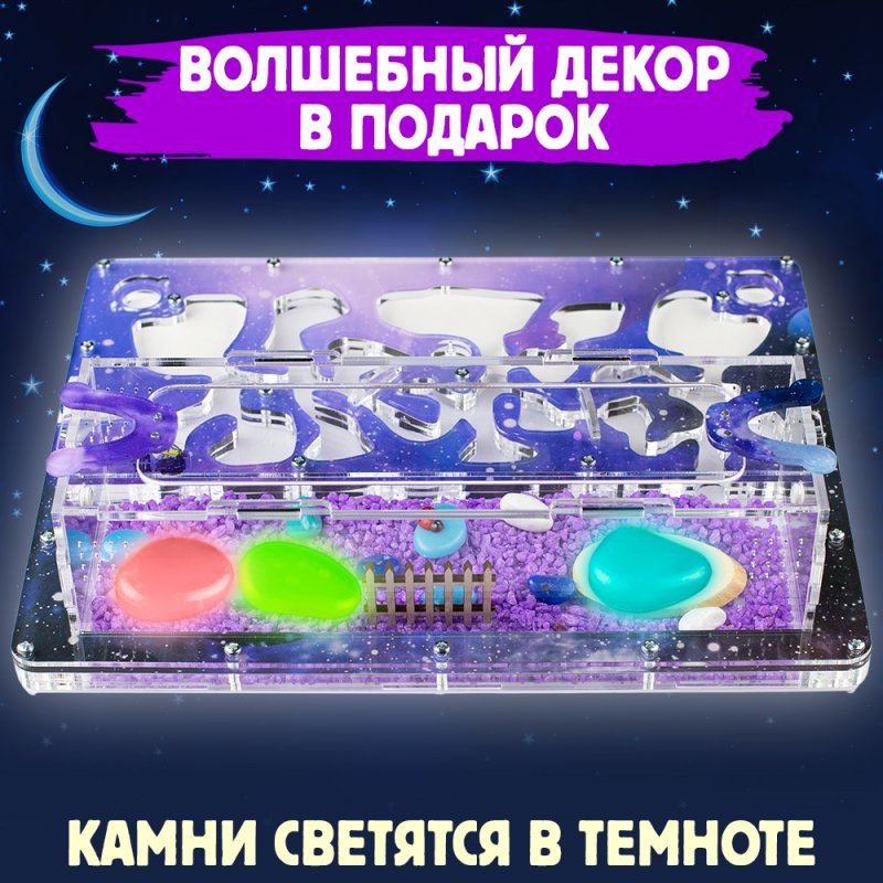 Формикарий Макси "Космос" Формикарий Макси "Космос"
