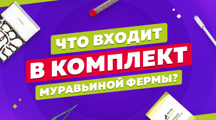 Что входит в стартовый комплект?